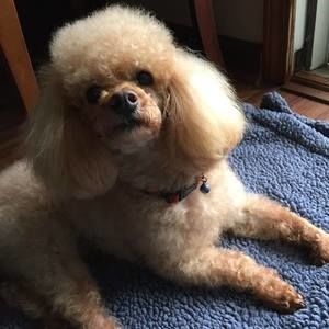 Meet your Posher, Lynda